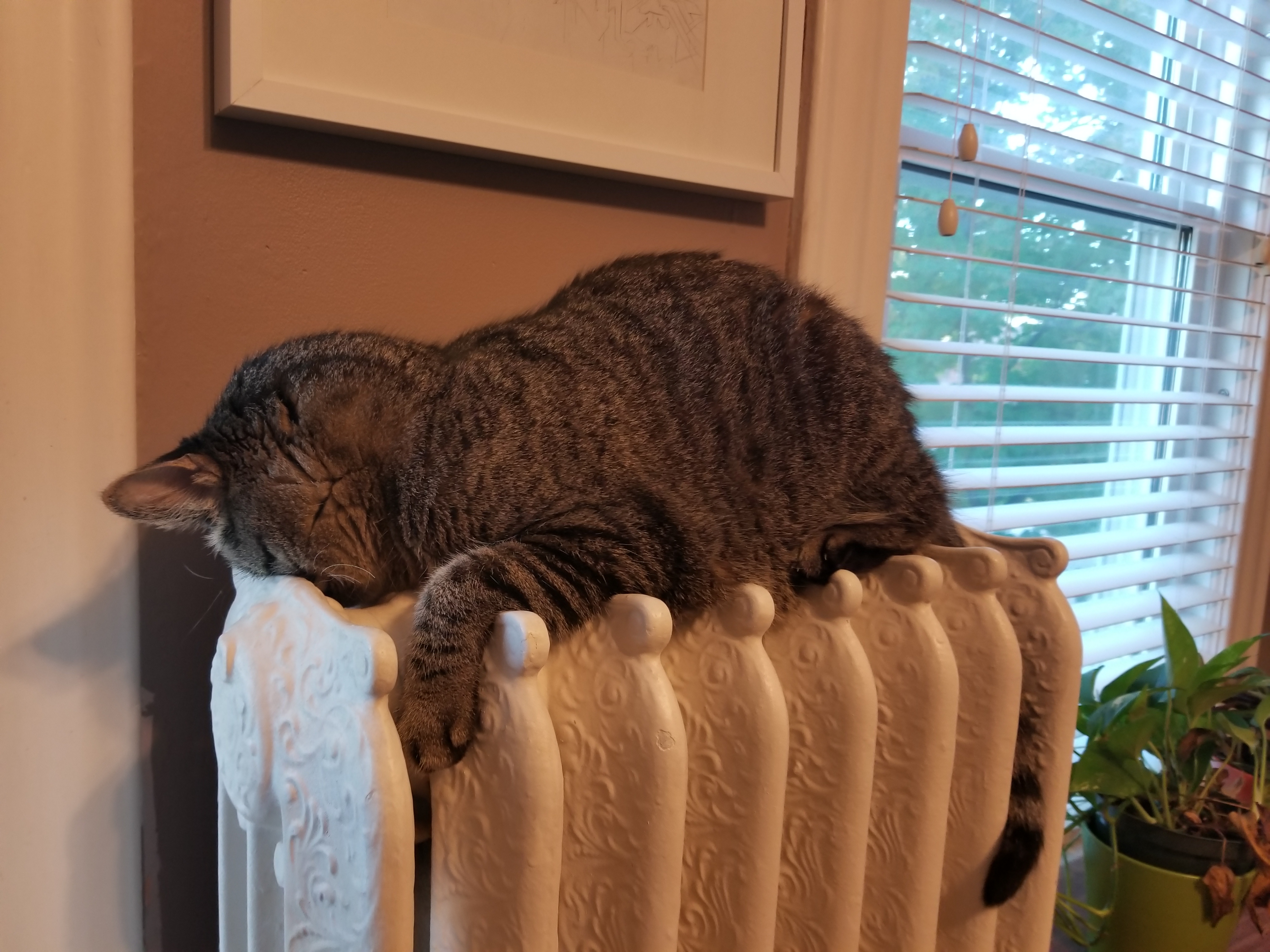 Richie on radiator 1