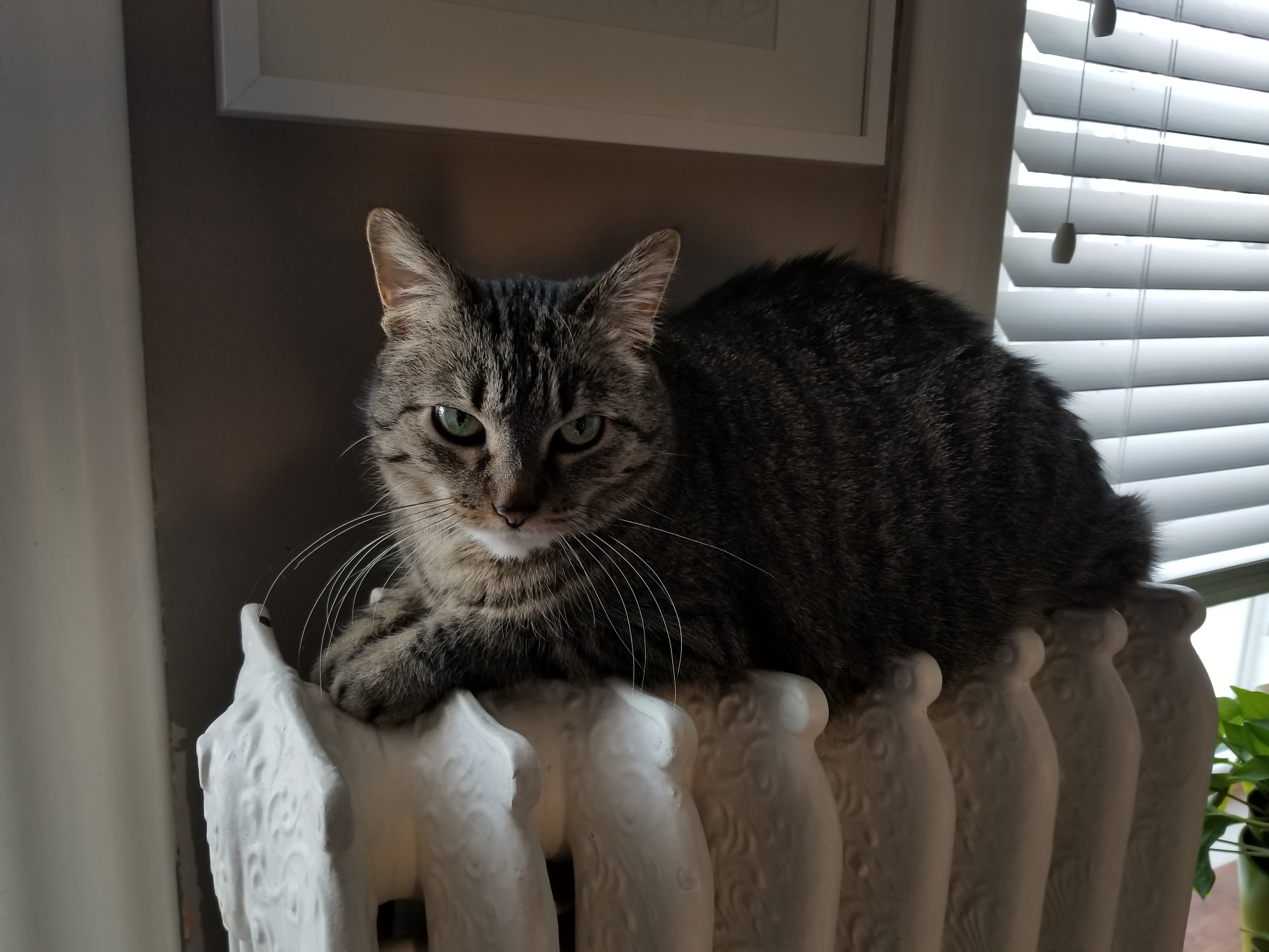 Richie on radiator 2