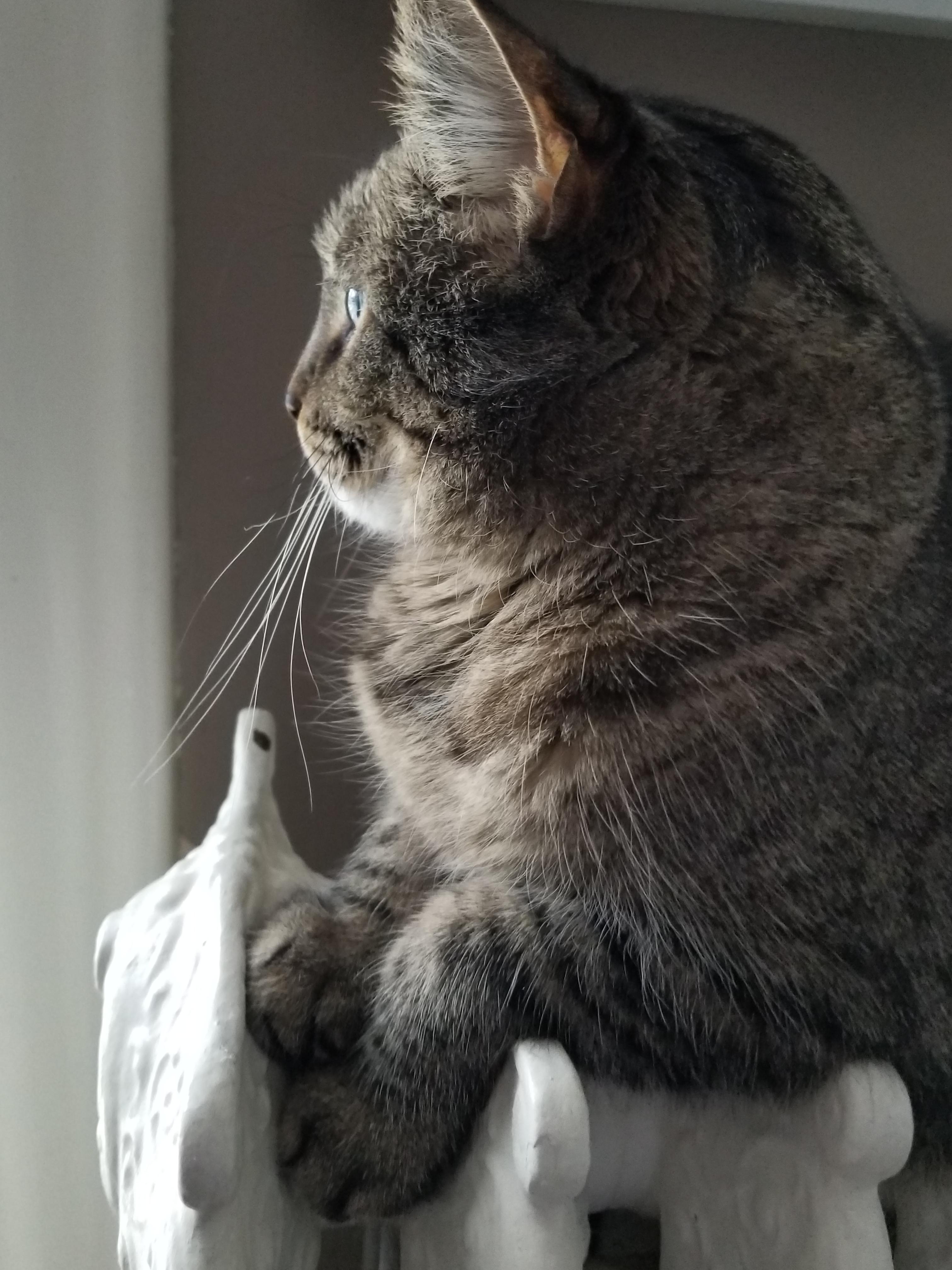 Richie on radiator 3