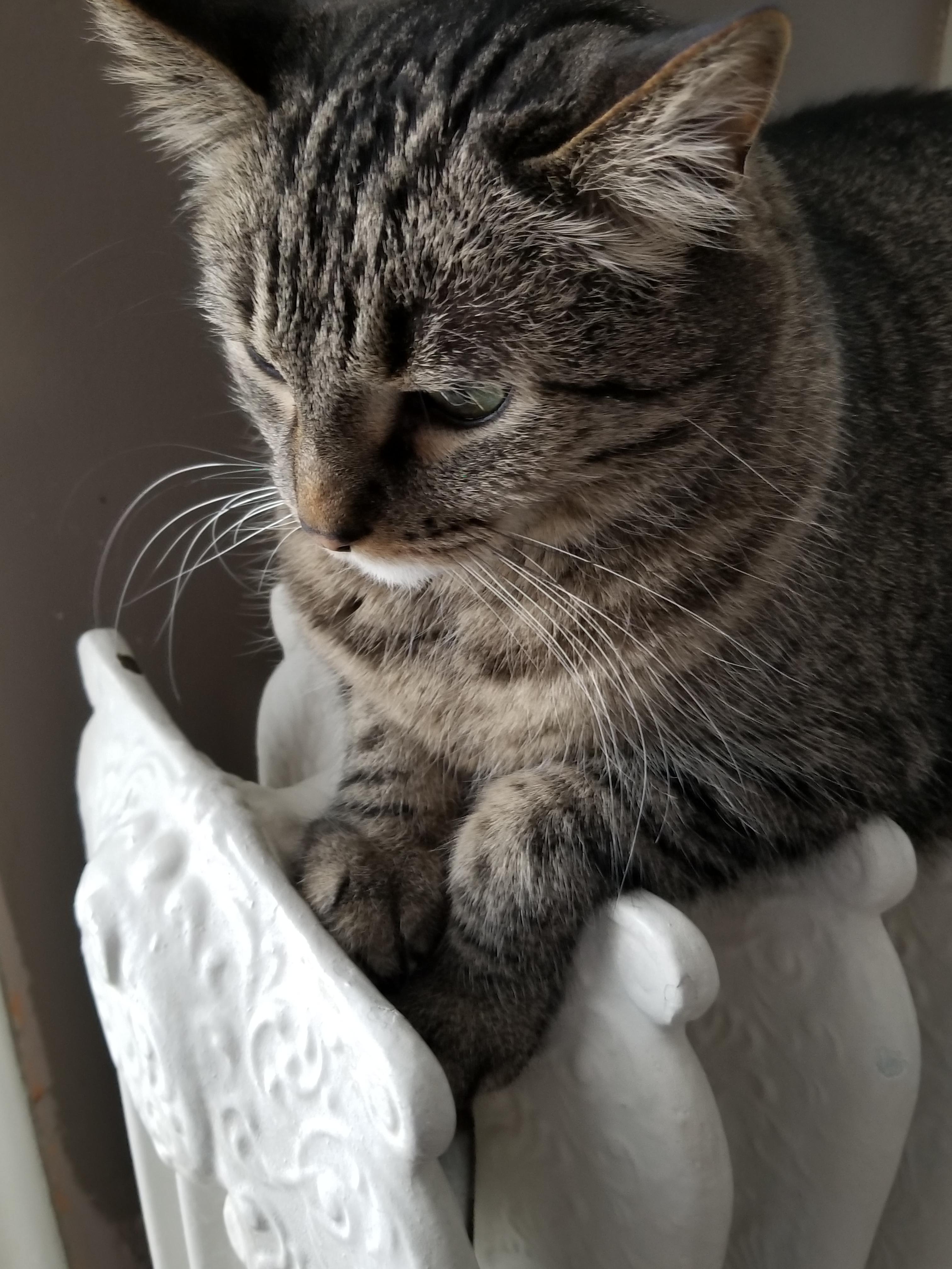 Richie on radiator 4