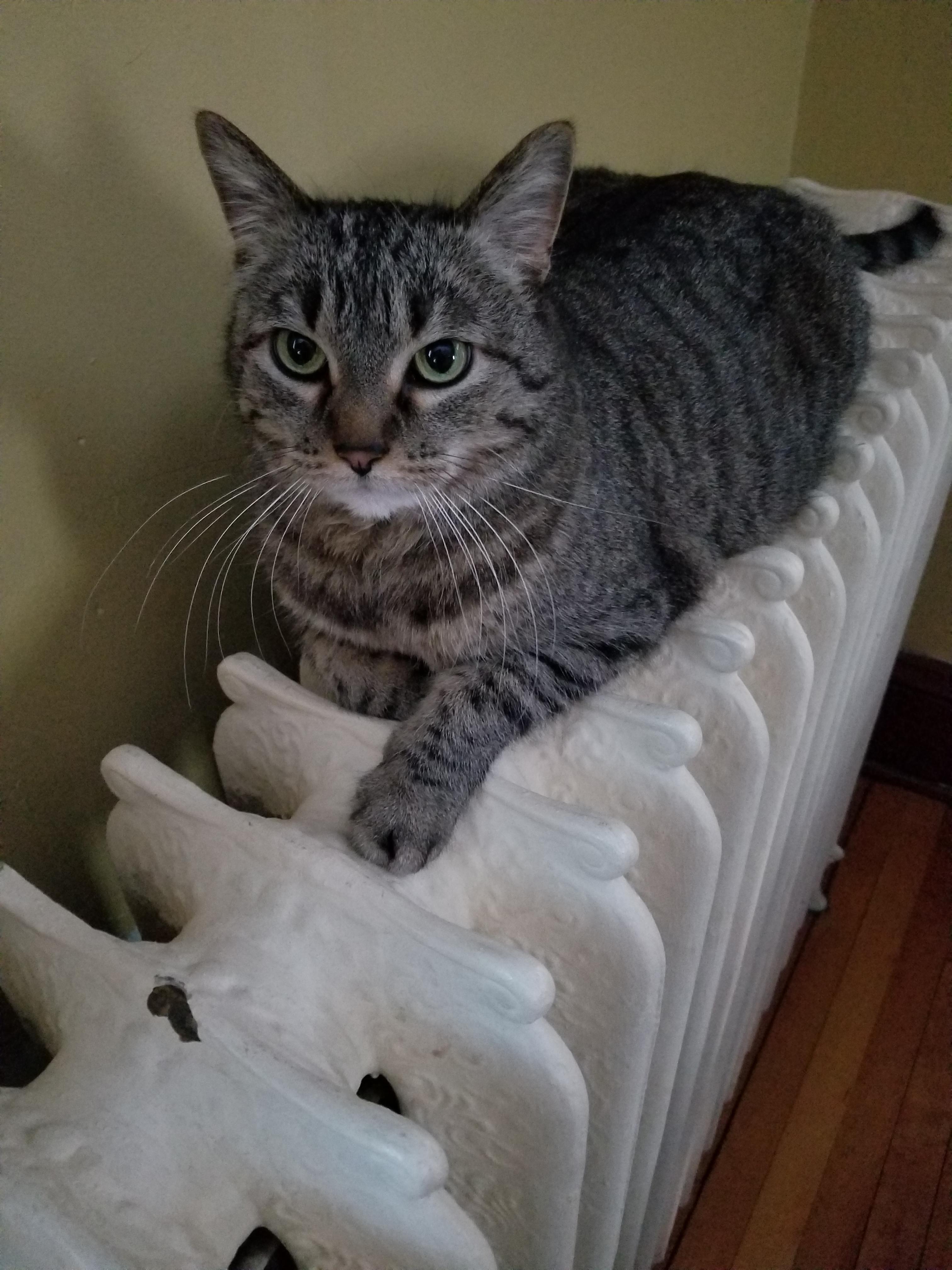 Richie on radiator 5