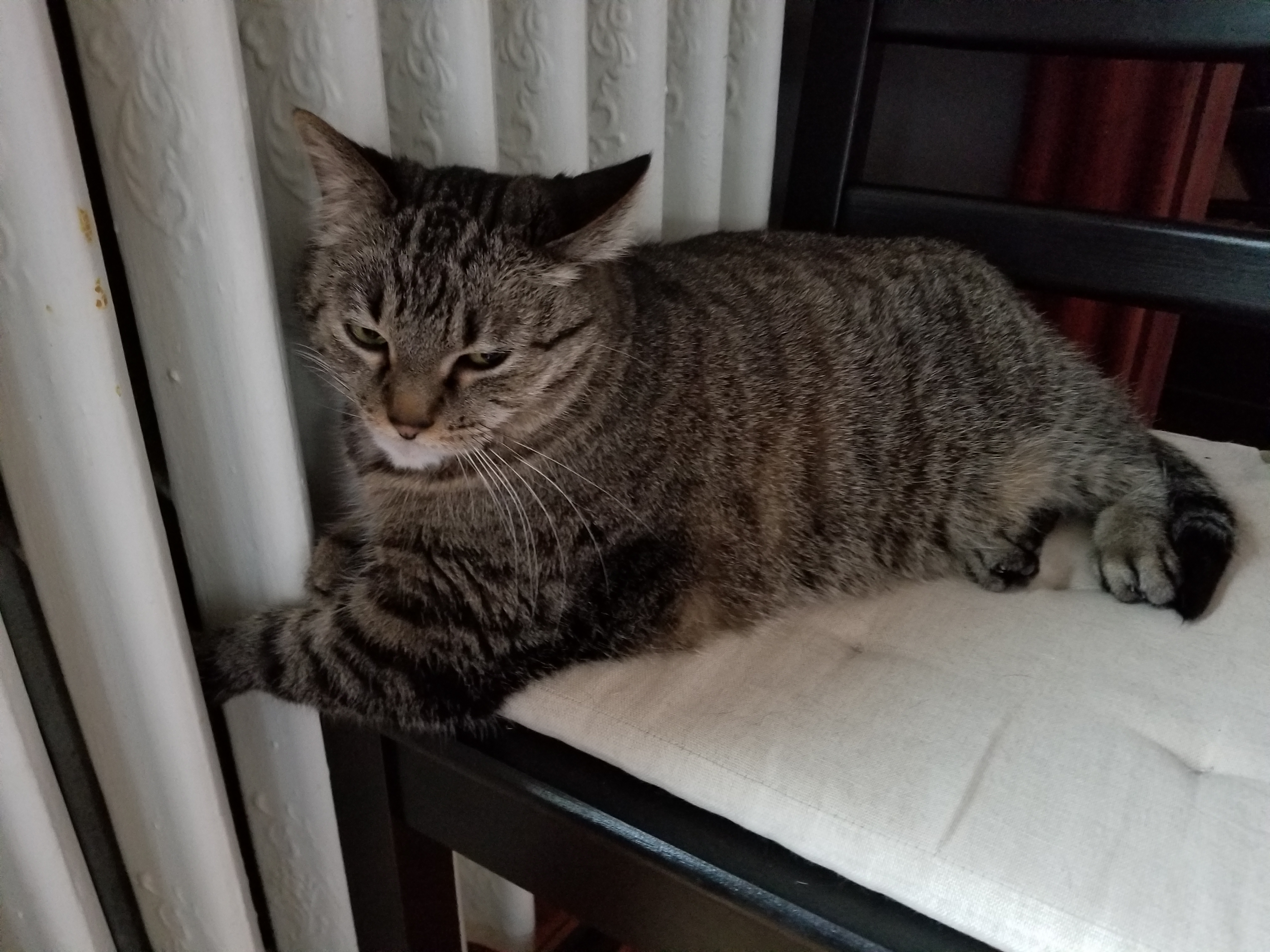 Richie on radiator 6