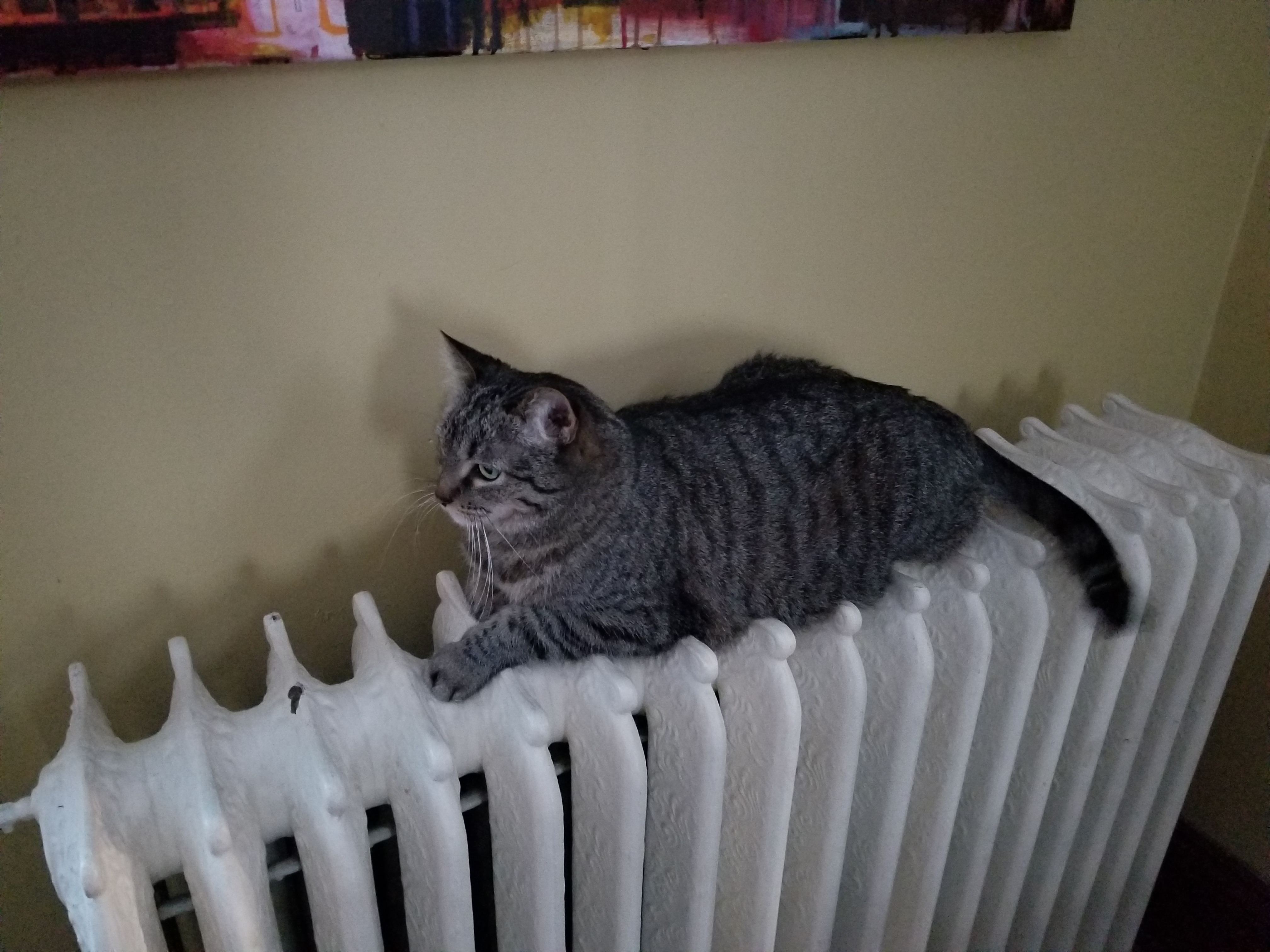 Richie on radiator 7